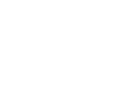 NJ Thornton Dry Stone Walling logo
